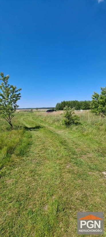 Działka 1292 m² w Rekowie - blisko jeziora Koprowo działka Rekowo