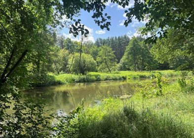 Działka rekreacyjna na sprzedaż Dworszowice Kościelne 780m2 Foto 3