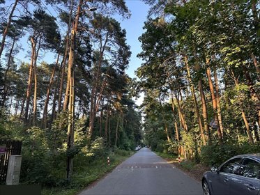 działka na sprzedaż 2007m2 działka Zalesie Górne, Przebudzenie Wiosny