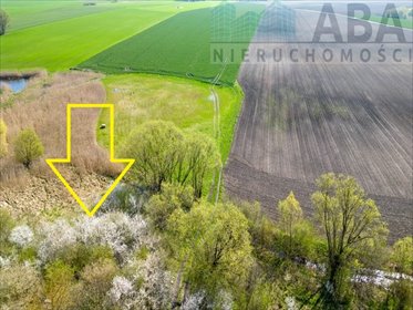 działka na sprzedaż 4800m2 działka Turostówko