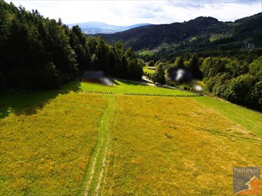 działka na sprzedaż 4000m2 działka Męcina