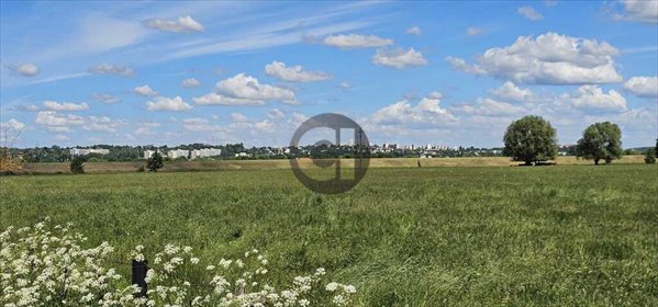 Zapraszam do zakupu działek 2000 m² z WZ i mediami działka Gorzów Wielkopolski