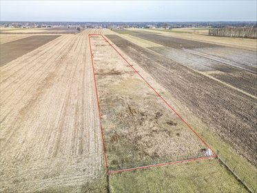 Działka 1,24 ha z możliwością budowy domu i własnej aranżacji działka Pniowe