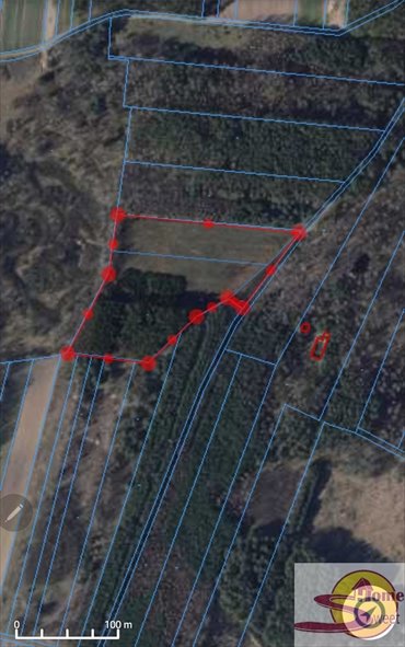Działka 16 937 m² z lasem i możliwością podziału działka Janki