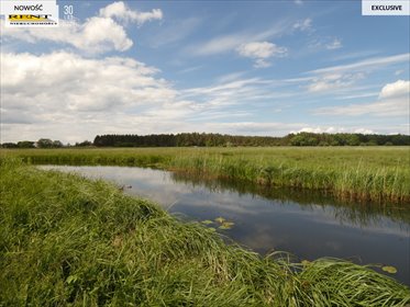 Na sprzedaż działki z własnym stawem i warunkami zabudowy działka Stepniczka, Barnima II