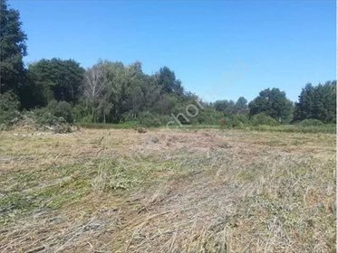 Działka 1,8 ha z planem pod zabudowę - polecam działka Podkowa Leśna