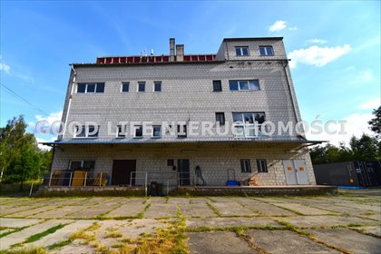 Budynek 1173 m² z zapleczem 40 arów - polecam lokal użytkowy Wólka Podleśna