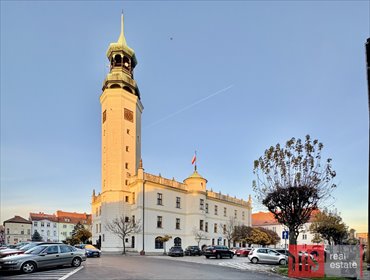 mieszkanie na sprzedaż 39m2 mieszkanie Sulechów, Licealna