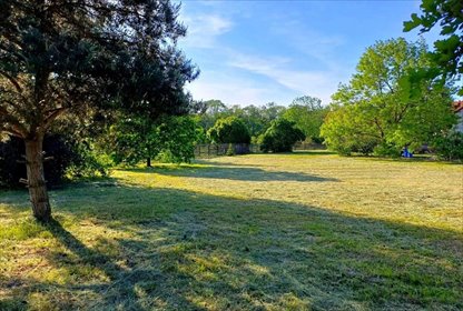 Sprzedam działkę inwestycyjną 12 276 m² przy DK 92 w Młodasko działka Młodasko