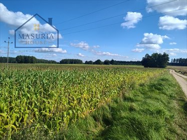 Działka 25 800 m² z warunkami zabudowy w Urowie. działka Urowo