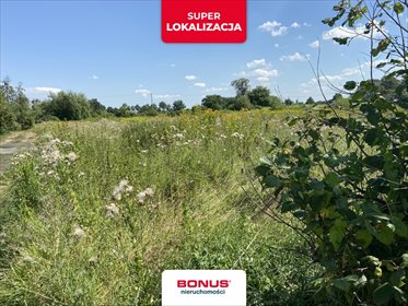 Działka budowlana na sprzedaż Nowe Gniewniewice 1 500m2 Foto 2