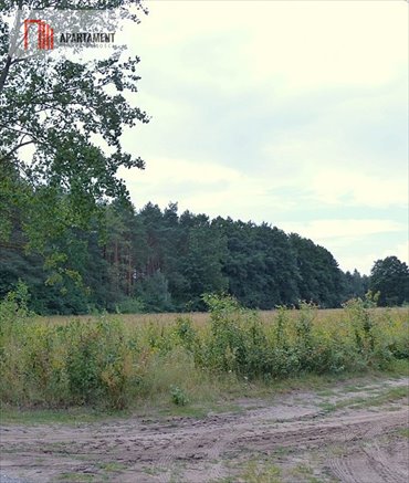 działka na sprzedaż 1600m2 działka Ciche