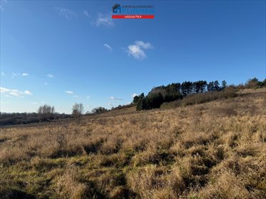 działka na sprzedaż 7539m2 działka Wolsko Górne