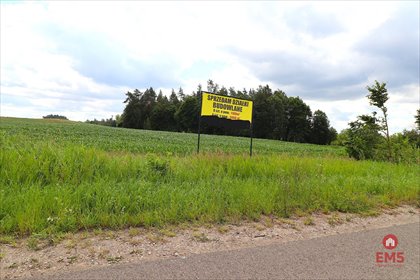 działka na sprzedaż 9000m2 działka Rożyńsk Wielki