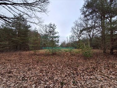 działka na sprzedaż 1300m2 działka Owczarnia