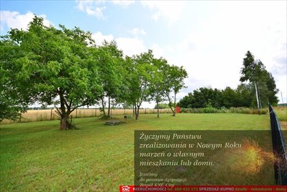 działka na sprzedaż 6300m2 działka Osmolice Pierwsze