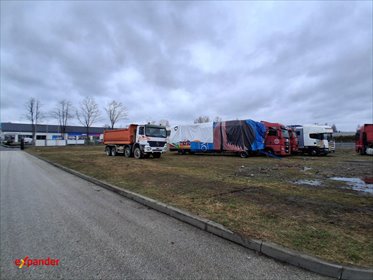 działka na wynajem 2000m2 działka Sokołów Małopolski