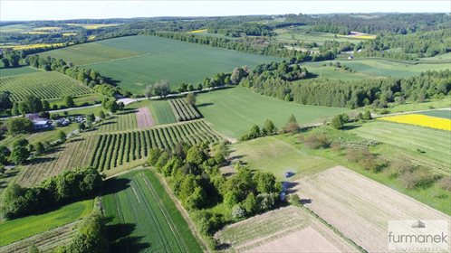 Działka rekreacyjna na sprzedaż Radzięcin 2 328m2 Foto 3