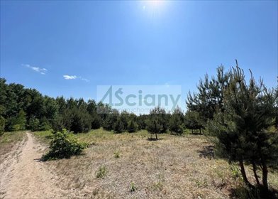 działka na sprzedaż 1000m2 działka Rusiec