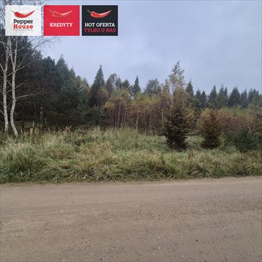 Działka w Domatówku z możliwością dokupienia sąsiedniej działka Domatówko, Sosnowa