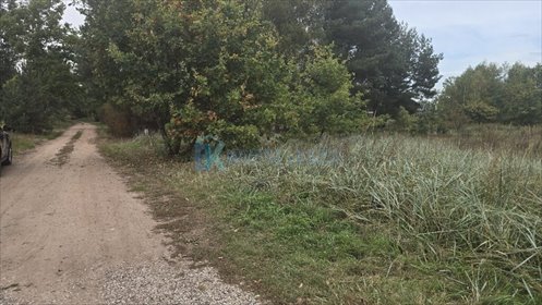 Zapraszam do zakupu działki 1009 m² w Czarnowie działka Czarnów
