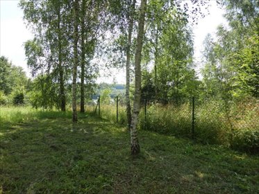 Działka rekreacyjna na sprzedaż Mrągowo, Mrągowo, Lembruk 1 000m2 Foto 4