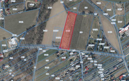 działka na sprzedaż 9600m2 działka Dębówka