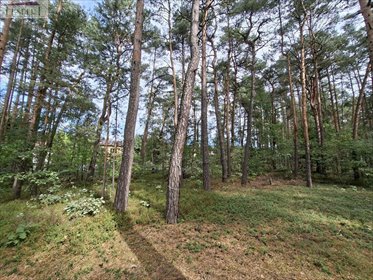 działka na sprzedaż 2927m2 działka Żarki-Letnisko, Wiejska