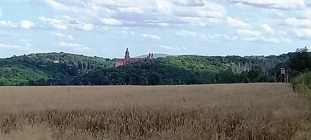 Działki w otulinie Książańskiego Parku Krajobrazowego polecam działka Cieszów