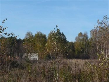 działka na sprzedaż 1140m2 działka Odolion