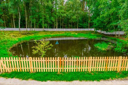 Działka 1818 m2 z stawem, lasem i dojazdem asfaltowym działka Szymbark
