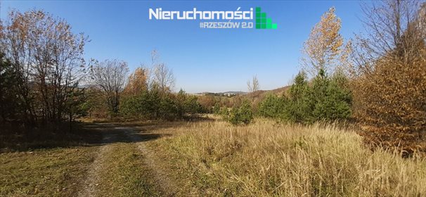 działka na sprzedaż 3000m2 działka Wysoczany