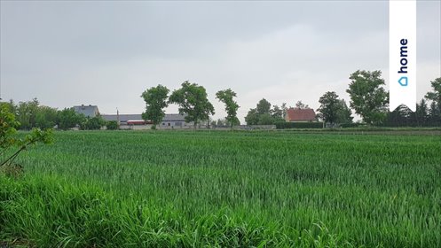 Do sprzedania działka 1141 m² w Łagiewnikach z mediami działka Łagiewniki, Sowia