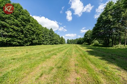 Przestronna działka 7,75 ha z stawem w Lipia Góra. działka Lipia Góra