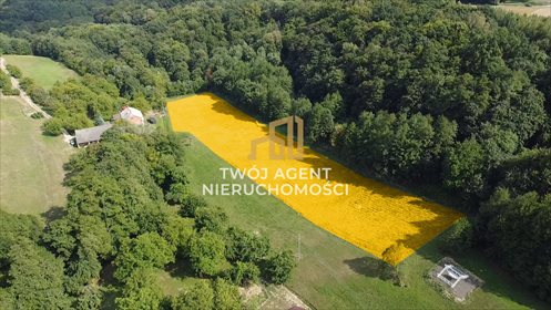 działka na sprzedaż 7700m2 działka Handzlówka
