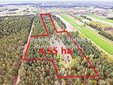 Działka 4,55 ha pod zabudowę, las, media, Soce działka Soce