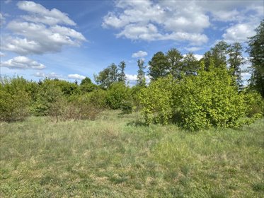działka na sprzedaż 9561m2 działka Konstancin-Jeziorna