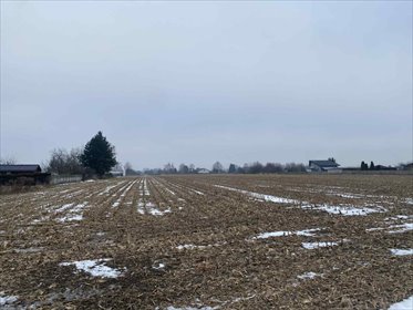 Na sprzedaż działka 1047 m² z szerokim frontem w Opiesinie działka Opiesin