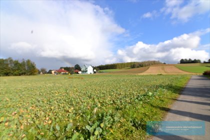 działka na sprzedaż 1900m2 działka Bachórzec