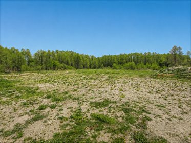 Działka 4390 m² pod dom z dobrym dojazdem do S8 - polecam! działka Zboiska