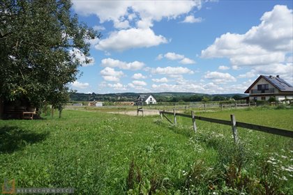 Działka inna pod dzierżawę Pisary 9 500m2 Foto 3