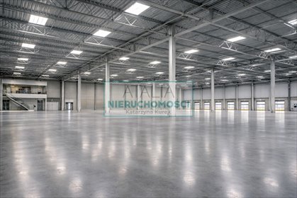 Działka inwestycyjna 35 500 m² z dostępem do trasy działka Grójec