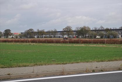 Działka inna pod dzierżawę Swadzim, Poznańska 8 500m2 Foto 6
