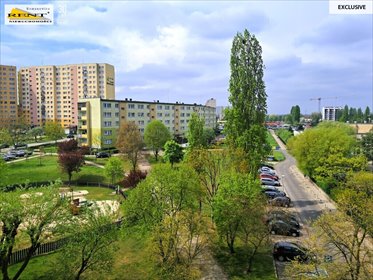 mieszkanie na wynajem 48m2 mieszkanie Szczecin, Lucjana Rydla