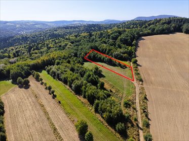 działka na sprzedaż 2000m2 działka Równe