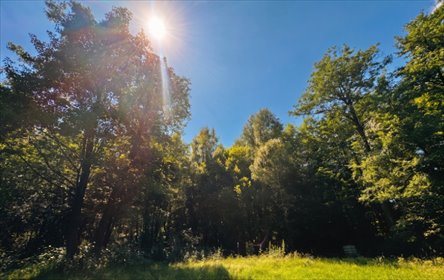 Zapraszam do zakupu działki 76 arów z domem i strumykiem działka Strażów