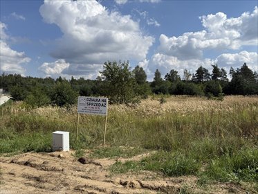 Na sprzedaż działka 2793 m² w Ostrowinie z możliwością zabudowy działka Ostrowina