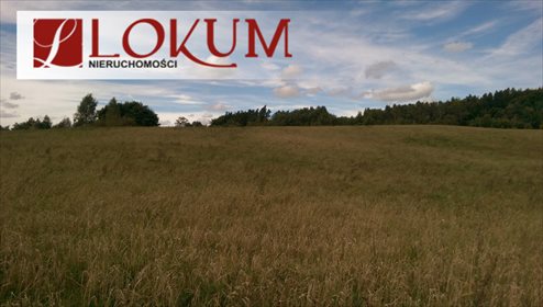 Działka budowlana na sprzedaż Sucha Huta 3 004m2 Foto 6