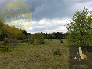 Działka budowlana na sprzedaż Tomisław 5 582m2 Foto 6