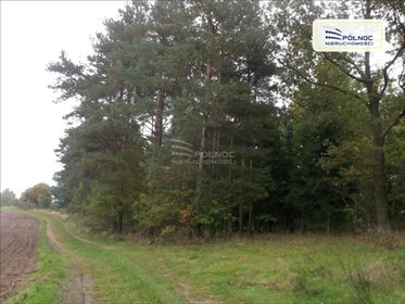 działka na sprzedaż 21908m2 działka Bolesławiec, Zabobrze